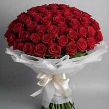 Букет 101 Красная роза Блэк Мэджик в Ханской