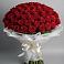 Букет 101 Красная роза Блэк Мэджик в Ханской