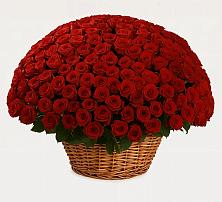 Премиум букет из: Розы #REPLACE_PRED# Ханской