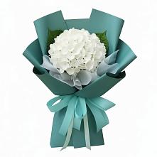 Букет цветов из:  Гортензия в Ханской